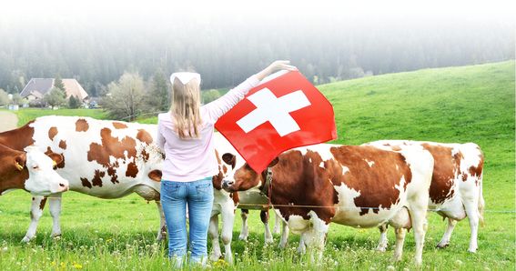 Frau mit Schweizer Flagge vor Kühen auf einer grünen Wiese
